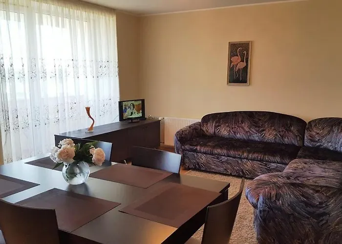 Cozy apartments in Druskininkai with panorama view