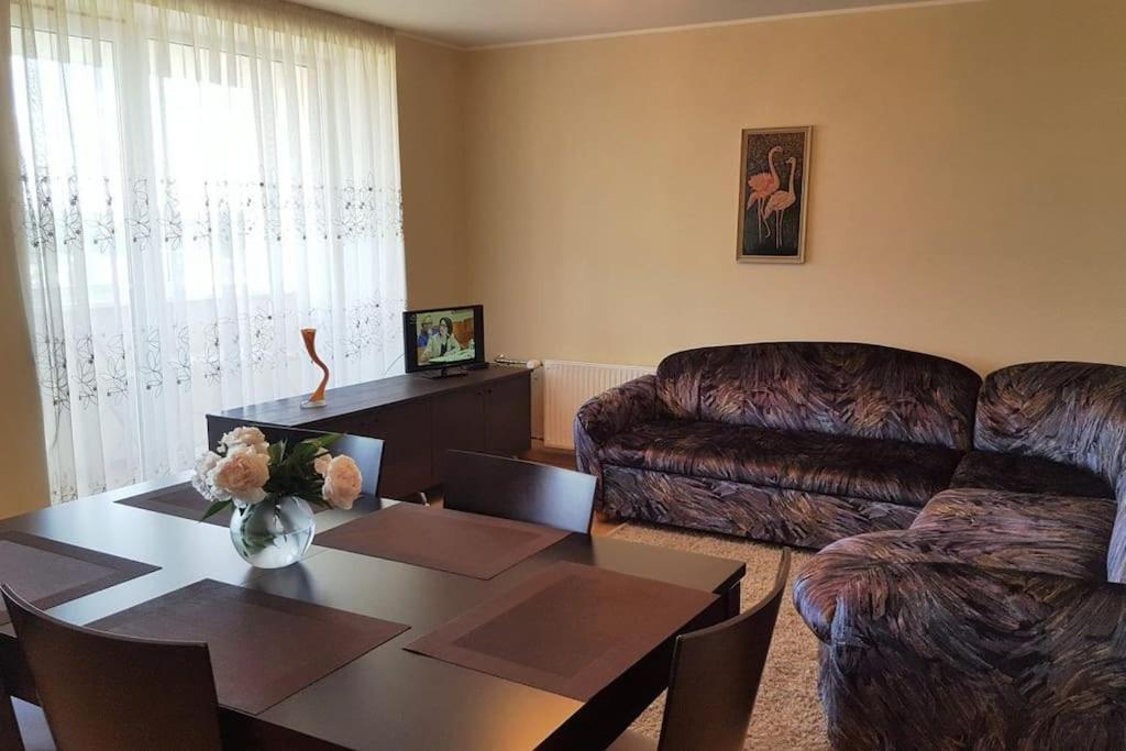 Cozy In With Panorama View Apartament